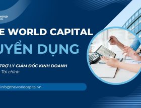 the-world-capital-tuyen-dung-tro-ly-giam-doc-kinh-doanh